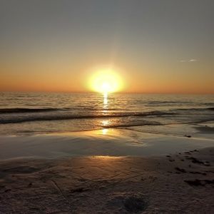 Meet your Posher, Ann